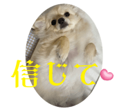 647861585