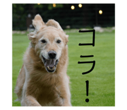 647935970