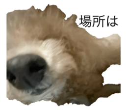 647947946