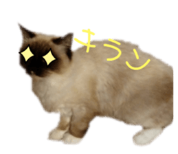 647953546