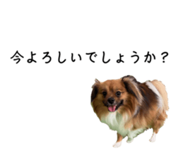 647954438