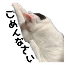 647975460