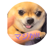 647982150