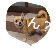 647982154