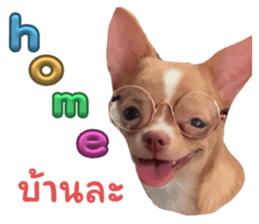 647993686
