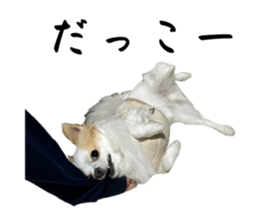 647994501