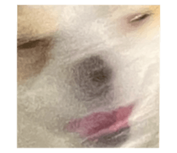 647994508