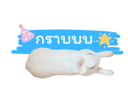 647996783