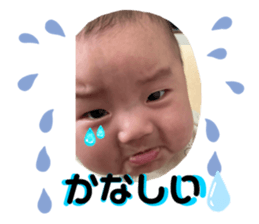 648016155
