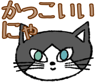 648045936