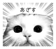 648082199