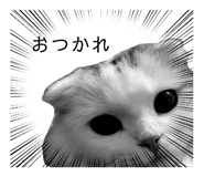 648082201