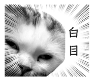 648082230