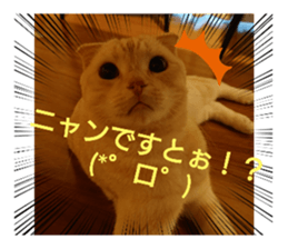 648158988