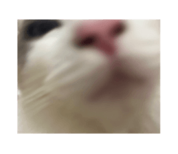 648173201