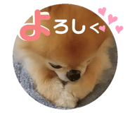 648184111