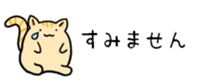 648185001