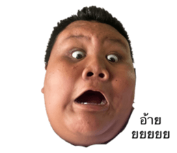 648191384