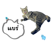 648207436