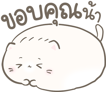 ลายที่ 24