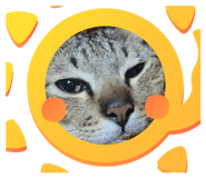 648246649
