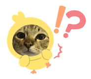 648246653