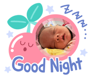 648246679