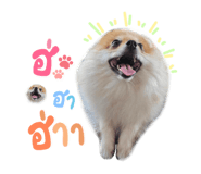 648263656