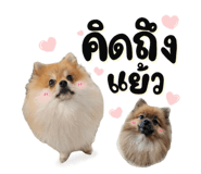 648263659