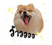 648263663