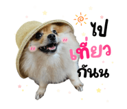 648263666