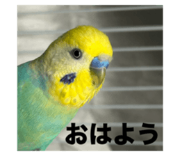 648272734