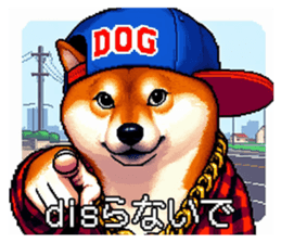 648303300