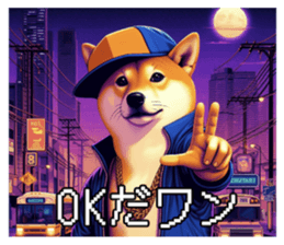 648303302