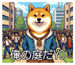 648303309