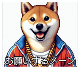 648303313