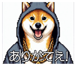 648303318