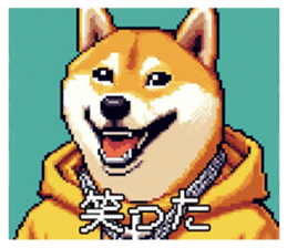 648303320