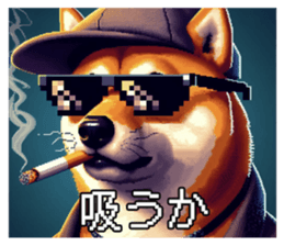 648303321