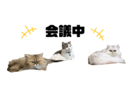 648403849