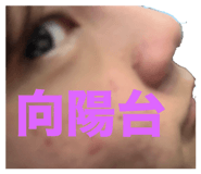 648404166