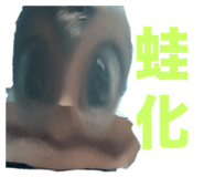 648404177