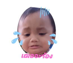 648405862