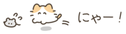 648413625