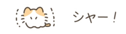 648413641