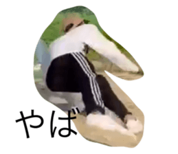 648414078