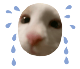648417187
