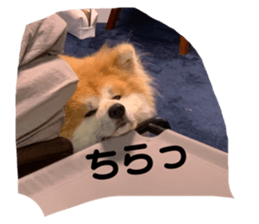 648418017