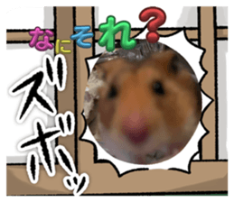 648426182