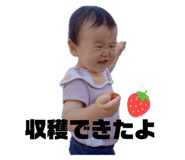 648428802